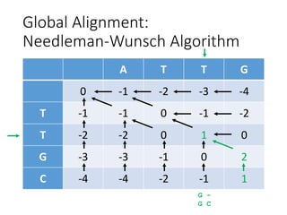 Global Alignment:
Needleman-Wunsch Algorithm
A T T G
0 -1 -2 -3 -4
T -1 -1 0 -1 -2
T -2 -2 0 1 0
G -3 -3 -1 0 2
C -4 -4 -2 -1 1
G -
G C
 