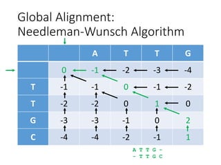 Global Alignment:
Needleman-Wunsch Algorithm
A T T G
0 -1 -2 -3 -4
T -1 -1 0 -1 -2
T -2 -2 0 1 0
G -3 -3 -1 0 2
C -4 -4 -2 -1 1
A T T G -
- T T G C
 
