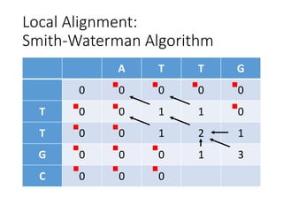 Local Alignment:
Smith-Waterman Algorithm
A T T G
0 0 0 0 0
T 0 0 1 1 0
T 0 0 1 2 1
G 0 0 0 1 3
C 0 0 0
 