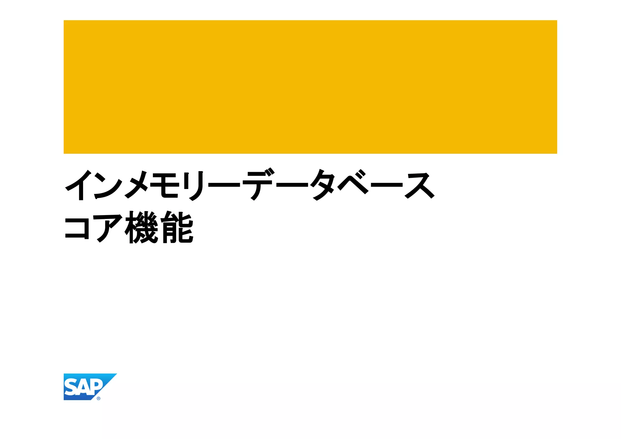 インメモリーデータベース
コア機能

 