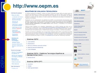 http://www.oepm.es
OEPM




                            19
 