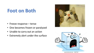 • Freeze response – tense
• One becomes frozen or paralysed
• Unable to carry out an action
• Extremely alert under the surface
 