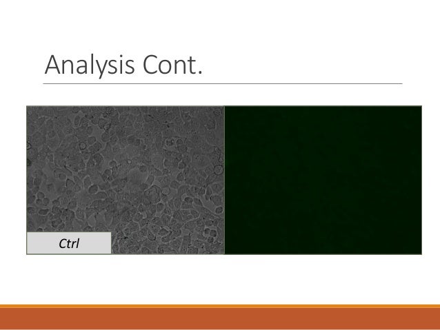 ncplot product key ncplot product key