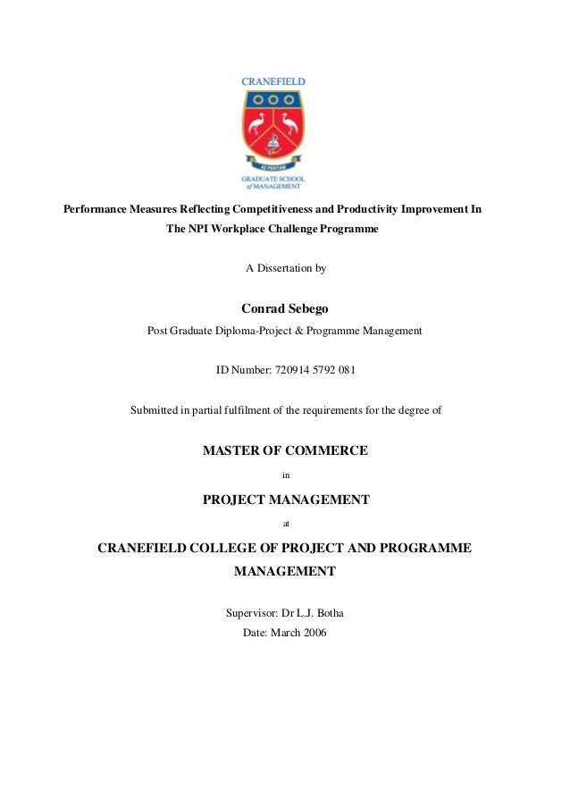 Dissertation finale