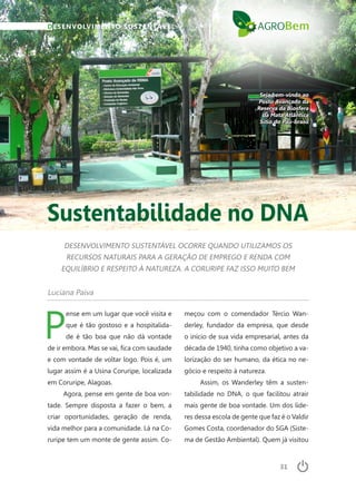 31
DESENVOLVIMENTO SUSTENTÁVEL
meçou com o comendador Tércio Wan-
derley, fundador da empresa, que desde
o início de sua vida empresarial, antes da
década de 1940, tinha como objetivo a va-
lorização do ser humano, da ética no ne-
gócio e respeito à natureza.
Assim, os Wanderley têm a susten-
tabilidade no DNA, o que facilitou atrair
mais gente de boa vontade. Um dos líde-
res dessa escola de gente que faz é o Valdir
Gomes Costa, coordenador do SGA (Siste-
ma de Gestão Ambiental). Quem já visitou
Sustentabilidade no DNA
DESENVOLVIMENTO SUSTENTÁVEL OCORRE QUANDO UTILIZAMOS OS
RECURSOS NATURAIS PARA A GERAÇÃO DE EMPREGO E RENDA COM
EQUILÍBRIO E RESPEITO À NATUREZA. A CORURIPE FAZ ISSO MUITO BEM
Seja bem-vindo ao
Posto Avançado da
Reserva da Biosfera
da Mata Atlântica
Sítio do Pau-brasil
Luciana Paiva
P
ense em um lugar que você visita e
que é tão gostoso e a hospitalida-
de é tão boa que não dá vontade
de ir embora. Mas se vai, fica com saudade
e com vontade de voltar logo. Pois é, um
lugar assim é a Usina Coruripe, localizada
em Coruripe, Alagoas.
Agora, pense em gente de boa von-
tade. Sempre disposta a fazer o bem, a
criar oportunidades, geração de renda,
vida melhor para a comunidade. Lá na Co-
ruripe tem um monte de gente assim. Co-
 