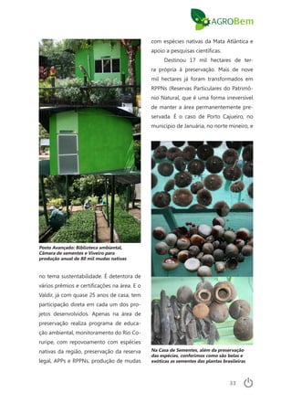 33
no tema sustentabilidade. É detentora de
vários prêmios e certificações na área. E o
Valdir, já com quase 25 anos de casa, tem
participação direta em cada um dos pro-
jetos desenvolvidos. Apenas na área de
preservação realiza programa de educa-
ção ambiental, monitoramento do Rio Co-
ruripe, com repovoamento com espécies
nativas da região, preservação da reserva
legal, APPs e RPPNs, produção de mudas
com espécies nativas da Mata Atlântica e
apoio a pesquisas científicas.
Destinou 17 mil hectares de ter-
ra própria à preservação. Mais de nove
mil hectares já foram transformados em
RPPNs (Reservas Particulares do Patrimô-
nio Natural, que é uma forma irreversível
de manter a área permanentemente pre-
servada. É o caso de Porto Cajueiro, no
município de Januária, no norte mineiro, e
Posto Avançado: Biblioteca ambiental,
Câmara de sementes e Viveiro para
produção anual de 80 mil mudas nativas
Na Casa de Sementes, além da preservação
das espécies, conferimos como são belas e
exóticas as sementes das plantas brasileiras
 