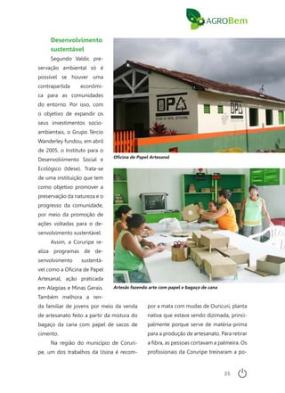 35
Desenvolvimento
sustentável
Segundo Valdir, pre-
servação ambiental só é
possível se houver uma
contrapartida econômi-
ca para as comunidades
do entorno. Por isso, com
o objetivo de expandir os
seus investimentos socio-
ambientais, o Grupo Tércio
Wanderley fundou, em abril
de 2005, o Instituto para o
Desenvolvimento Social e
Ecológico (Idese). Trata-se
de uma instituição que tem
como objetivo promover a
preservação da natureza e o
progresso da comunidade,
por meio da promoção de
ações voltadas para o de-
senvolvimento sustentável.
Assim, a Coruripe re-
aliza programas de de-
senvolvimento sustentá-
vel como a Oficina de Papel
Artesanal, ação praticada
em Alagoas e Minas Gerais.
Também melhora a ren-
da familiar de jovens por meio da venda
de artesanato feito a partir da mistura do
bagaço da cana com papel de sacos de
cimento.
Na região do município de Coruri-
pe, um dos trabalhos da Usina é recom-
por a mata com mudas de Ouricuri, planta
nativa que estava sendo dizimada, princi-
palmente porque serve de matéria-prima
para a produção de artesanato. Para retirar
a fibra, as pessoas cortavam a palmeira. Os
profissionais da Coruripe treinaram a po-
Artesãs fazendo arte com papel e bagaço de cana
Oficina de Papel Artesanal
 