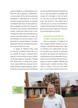 49
vieram o Migdolus, o Sphenophorus levis.
Estes sim são problemas, o Sphenopho-
rus mais ainda”, afirma. Ele tem razão, pois
atualmente o Sphenophorus é uma das
principais pragas que atacam os canaviais
no Estado de São Paulo. As larvas desse in-
seto se abrigam no interior do rizoma, di-
ficultando o seu controle e danificando os
tecidos. A partir daí, pode ocorrer a mor-
te da planta e falhas nas brotações das so-
queiras, causando prejuízos na ordem de
30 toneladas de cana por hectare. A lon-
gevidade do canavial também é reduzida,
obrigando reformas extremamente preco-
ces, o que aumenta os custos.
A região de Ribeirão Preto, onde
se encontra a Destilaria Santa Inês e ou-
tra unidade do Grupo, a Virálcool Pitan-
gueiras, é uma das áreas de maior incidên-
cia de Sphenophorus. Segundo a Datagro
Alta Performance, a praga está presen-
te em mais de 60% dos canaviais do No-
roeste paulista. Gustavo Nogueira, geren-
te-técnico da Associação dos Plantadores
de Cana do Oeste Paulista (Canaoeste), diz
que no raio de atuação da entidade, que
envolve 50 municípios e 150 mil hecta-
res com cana, só não tem Sphenophorus
quem não procurou. Prati explica que o
corte de cana crua criou um ambiente fa-
vorável à disseminação de doenças e pra-
gas da cana, já que o fogo era um elemen-
to que participava do controle.
Evolução no controle de
pragas e doenças da cana
Mas se aumentou a incidência de
novas pragas também evoluíram as tec-
nologias e ferramentas disponíveis. “Ago-
ra contamos com implementos com dis-
cos cortantes que colocam os defensivos
no interior da soqueira sem danificá-la. E
as plantadoras de cana depositam os pro-
dutos no sulco de plantio de forma homo-
gênea. E o melhor, o Regent®
800 WG, que
controla cupim, também controla o Mig-
dolus e a broca. E tem mais uma vanta-
gem: é uma barreira química para as for-
Fernando
Prati: foco na
perenização
da cana
 
