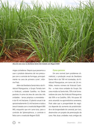 50	 Dezembro · 2014
migas cortadeiras. Depois que passamos a
usar o produto deixamos de nos preocu-
par com o controle de formigas, principal-
mente na cana de primeiro corte”, infor-
ma Prati.
Além da Destilaria Santa Inês e da Vi-
rálcool Pitangueiras, o Grupo Tonielo tem
a Virálcool, unidade Castilho, no Oeste
paulista. A soma da área de cana das três
unidades - terras próprias e arrendadas -
é de 45 mil hectares. O plantio anual é de
aproximadamente 11 mil hectares e toda a
área é tratada com o inseticida Regent 800
WG, enquanto que em cana-soca, para o
controle de Sphenophorus, o controle é
feito com o inseticida Regent DUO.
Cana perene
Em ano normal (sem problemas cli-
máticos), a produção anual da Destilaria
Santa Inês é de 700 mil toneladas, da Vi-
rálcool Pitangueiras, em torno de 2,6 mi-
lhões, mesmo número da Virácool Casti-
lho - a mais nova unidade do Grupo. Da
cana moída na Santa Inês, 70% é de forne-
cedores de cana. Na Virálcool Pitangueiras
são 50% e na Castilho, 30%. Há quase 30
anos atuando na agroindústria canavieira,
Prati sabe que a prosperidade do negó-
cio depende do aumento da produtivida-
de e da longevidade do canavial, por isso,
desenvolve um projeto de perenização da
cana. Nas duas unidades mais antigas do
Área de cana-soca na destilaria Santa Inês tratada com Regent DUO
 