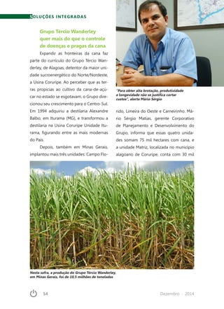 54	 Dezembro · 2014
SOLUÇÕES INTEGRADAS
Grupo Tércio Wanderley
quer mais do que o controle
de doenças e pragas da cana
Expandir as fronteiras da cana faz
parte do currículo do Grupo Tércio Wan-
derley, de Alagoas, detentor da maior uni-
dade sucroenergético do Norte/Nordeste,
a Usina Coruripe. Ao perceber que as ter-
ras propícias ao cultivo da cana-de-açú-
car no estado se esgotavam, o Grupo dire-
cionou seu crescimento para o Centro-Sul.
Em 1994 adquiriu a destilaria Alexandre
Balbo, em Iturama (MG), e transformou a
destilaria na Usina Coruripe Unidade Itu-
rama, figurando entre as mais modernas
do País.
Depois, também em Minas Gerais,
implantou mais três unidades: Campo Flo-
rido, Limeira do Oeste e Carneirinho. Má-
rio Sérgio Matias, gerente Corporativo
de Planejamento e Desenvolvimento do
Grupo, informa que essas quatro unida-
des somam 75 mil hectares com cana, e
a unidade Matriz, localizada no município
alagoano de Coruripe, conta com 30 mil
“Para obter alta brotação, produtividade
e longevidade não se justifica cortar
custos”, alerta Mário Sérgio
Nesta safra, a produção do Grupo Tércio Wanderley,
em Minas Gerais, foi de 10,5 milhões de toneladas
 