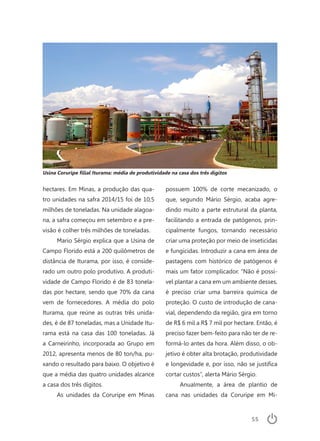 55
hectares. Em Minas, a produção das qua-
tro unidades na safra 2014/15 foi de 10,5
milhões de toneladas. Na unidade alagoa-
na, a safra começou em setembro e a pre-
visão é colher três milhões de toneladas.
Mario Sérgio explica que a Usina de
Campo Florido está a 200 quilômetros de
distância de Iturama, por isso, é conside-
rado um outro polo produtivo. A produti-
vidade de Campo Florido é de 83 tonela-
das por hectare, sendo que 70% da cana
vem de fornecedores. A média do polo
Iturama, que reúne as outras três unida-
des, é de 87 toneladas, mas a Unidade Itu-
rama está na casa das 100 toneladas. Já
a Carneirinho, incorporada ao Grupo em
2012, apresenta menos de 80 ton/ha, pu-
xando o resultado para baixo. O objetivo é
que a média das quatro unidades alcance
a casa dos três dígitos.
As unidades da Coruripe em Minas
possuem 100% de corte mecanizado, o
que, segundo Mário Sérgio, acaba agre-
dindo muito a parte estrutural da planta,
facilitando a entrada de patógenos, prin-
cipalmente fungos, tornando necessário
criar uma proteção por meio de inseticidas
e fungicidas. Introduzir a cana em área de
pastagens com histórico de patógenos é
mais um fator complicador. “Não é possí-
vel plantar a cana em um ambiente desses,
é preciso criar uma barreira química de
proteção. O custo de introdução de cana-
vial, dependendo da região, gira em torno
de R$ 6 mil a R$ 7 mil por hectare. Então, é
preciso fazer bem-feito para não ter de re-
formá-lo antes da hora. Além disso, o ob-
jetivo é obter alta brotação, produtividade
e longevidade e, por isso, não se justifica
cortar custos”, alerta Mário Sérgio.
Anualmente, a área de plantio de
cana nas unidades da Coruripe em Mi-
Usina Coruripe filial Iturama: média de produtividade na casa dos três dígitos
 