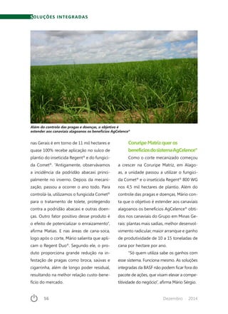 56	 Dezembro · 2014
nas Gerais é em torno de 11 mil hectares e
quase 100% recebe aplicação no sulco de
plantio do inseticida Regent®
e do fungici-
da Comet®
. “Antigamente, observávamos
a incidência da podridão abacaxi princi-
palmente no inverno. Depois da mecani-
zação, passou a ocorrer o ano todo. Para
controlá-la, utilizamos o fungicida Comet®
para o tratamento de tolete, protegendo
contra a podridão abacaxi e outras doen-
ças. Outro fator positivo desse produto é
o efeito de potencializar o enraizamento”,
afirma Matias. E nas áreas de cana-soca,
logo após o corte, Mário salienta que apli-
cam o Regent Duo®
. Segundo ele, o pro-
duto proporciona grande redução na in-
festação de pragas como broca, saúvas e
cigarrinha, além de longo poder residual,
resultando na melhor relação custo-bene-
fício do mercado.
Coruripe Matriz quer os
benefíciosdosistemaAgCelence®
Como o corte mecanizado começou
a crescer na Coruripe Matriz, em Alago-
as, a unidade passou a utilizar o fungici-
da Comet®
e o inseticida Regent®
800 WG
nos 4,5 mil hectares de plantio. Além do
controle das pragas e doenças, Mário con-
ta que o objetivo é estender aos canaviais
alagoanos os benefícios AgCelence®
obti-
dos nos canaviais do Grupo em Minas Ge-
rais: plantas mais sadias, melhor desenvol-
vimento radicular, maior arranque e ganho
de produtividade de 10 a 15 toneladas de
cana por hectare por ano.
“Só quem utiliza sabe os ganhos com
esse sistema. Funciona mesmo. As soluções
integradas da BASF não podem ficar fora do
pacote de ações, que visam elevar a compe-
titividade do negócio”, afirma Mário Sérgio.
SOLUÇÕES INTEGRADAS
Além do controle das pragas e doenças, o objetivo é
estender aos canaviais alagoanos os benefícios AgCelence®
 