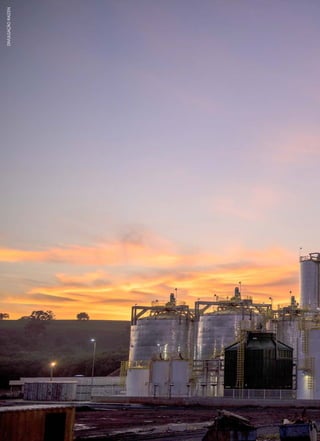 58	 Dezembro · 2014
DIVULGAÇÃORAÍZEN
 