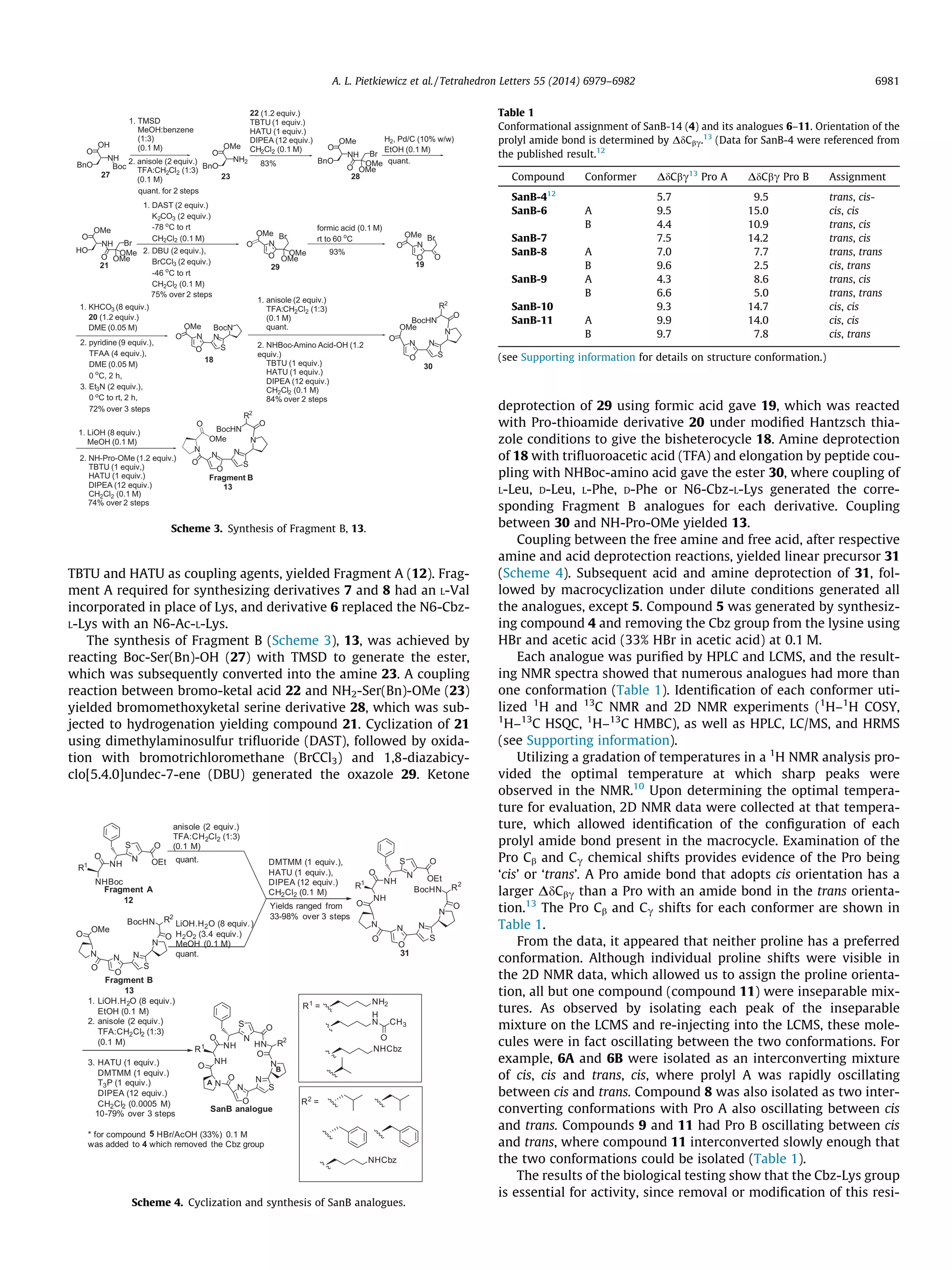 TBTU and HATU as coupling agents, yielded Fragment A (12). Frag-
ment A required for synthesizing derivatives 7 and 8 had an L-Val
incorporated in place of Lys, and derivative 6 replaced the N6-Cbz-
L-Lys with an N6-Ac-L-Lys.
The synthesis of Fragment B (Scheme 3), 13, was achieved by
reacting Boc-Ser(Bn)-OH (27) with TMSD to generate the ester,
which was subsequently converted into the amine 23. A coupling
reaction between bromo-ketal acid 22 and NH2-Ser(Bn)-OMe (23)
yielded bromomethoxyketal serine derivative 28, which was sub-
jected to hydrogenation yielding compound 21. Cyclization of 21
using dimethylaminosulfur triﬂuoride (DAST), followed by oxida-
tion with bromotrichloromethane (BrCCl3) and 1,8-diazabicy-
clo[5.4.0]undec-7-ene (DBU) generated the oxazole 29. Ketone
deprotection of 29 using formic acid gave 19, which was reacted
with Pro-thioamide derivative 20 under modiﬁed Hantzsch thia-
zole conditions to give the bisheterocycle 18. Amine deprotection
of 18 with triﬂuoroacetic acid (TFA) and elongation by peptide cou-
pling with NHBoc-amino acid gave the ester 30, where coupling of
L-Leu, D-Leu, L-Phe, D-Phe or N6-Cbz-L-Lys generated the corre-
sponding Fragment B analogues for each derivative. Coupling
between 30 and NH-Pro-OMe yielded 13.
Coupling between the free amine and free acid, after respective
amine and acid deprotection reactions, yielded linear precursor 31
(Scheme 4). Subsequent acid and amine deprotection of 31, fol-
lowed by macrocyclization under dilute conditions generated all
the analogues, except 5. Compound 5 was generated by synthesiz-
ing compound 4 and removing the Cbz group from the lysine using
HBr and acetic acid (33% HBr in acetic acid) at 0.1 M.
Each analogue was puriﬁed by HPLC and LCMS, and the result-
ing NMR spectra showed that numerous analogues had more than
one conformation (Table 1). Identiﬁcation of each conformer uti-
lized 1
H and 13
C NMR and 2D NMR experiments (1
H–1
H COSY,
1
H–13
C HSQC, 1
H–13
C HMBC), as well as HPLC, LC/MS, and HRMS
(see Supporting information).
Utilizing a gradation of temperatures in a 1
H NMR analysis pro-
vided the optimal temperature at which sharp peaks were
observed in the NMR.10
Upon determining the optimal tempera-
ture for evaluation, 2D NMR data were collected at that tempera-
ture, which allowed identiﬁcation of the conﬁguration of each
prolyl amide bond present in the macrocycle. Examination of the
Pro Cb and Cc chemical shifts provides evidence of the Pro being
‘cis’ or ‘trans’. A Pro amide bond that adopts cis orientation has a
larger DdCbc than a Pro with an amide bond in the trans orienta-
tion.13
The Pro Cb and Cc shifts for each conformer are shown in
Table 1.
From the data, it appeared that neither proline has a preferred
conformation. Although individual proline shifts were visible in
the 2D NMR data, which allowed us to assign the proline orienta-
tion, all but one compound (compound 11) were inseparable mix-
tures. As observed by isolating each peak of the inseparable
mixture on the LCMS and re-injecting into the LCMS, these mole-
cules were in fact oscillating between the two conformations. For
example, 6A and 6B were isolated as an interconverting mixture
of cis, cis and trans, cis, where prolyl A was rapidly oscillating
between cis and trans. Compound 8 was also isolated as two inter-
converting conformations with Pro A also oscillating between cis
and trans. Compounds 9 and 11 had Pro B oscillating between cis
and trans, where compound 11 interconverted slowly enough that
the two conformations could be isolated (Table 1).
The results of the biological testing show that the Cbz-Lys group
is essential for activity, since removal or modiﬁcation of this resi-
DMTMM (1 equiv.),
HATU (1 equiv.),
DIPEA (12 equiv.)
CH2Cl2 (0.1 M)
O
N
S
N
O
N
O
R2
OEt
OS
N
NH
O
NH
N
O
BocHN
anisole (2 equiv.)
TFA:CH2Cl2 (1:3)
(0.1 M)
LiOH.H2O (8 equiv.)
H2O2 (3.4 equiv.)
MeOH (0.1 M)
quant.
quant.
R1
Fragment B
13
O
N
S
N
O
N
O
R2
OEt
OS
N
NH
O
NHBoc
N
O
BocHN
R1
OMe
O
N S
NO
N
O
HN
OS
N
NH
O
NH
R1
N
O
1. LiOH.H2O (8 equiv.)
EtOH (0.1 M)
2. anisole (2 equiv.)
TFA:CH2Cl2 (1:3)
(0.1 M)
3. HATU (1 equiv.)
DMTMM (1 equiv.)
T3P (1 equiv.)
DIPEA (12 equiv.)
CH2Cl2 (0.0005 M)
10-79% over 3 steps
* for compound 5 HBr/AcOH (33%) 0.1 M
was added to 4 which removed the Cbz group
SanB analogue
31
Fragment A
12
Yields ranged from
33-98% over 3 steps
R2
R1 =
NH2
H
N CH3
O
NHCbz
R2 =
NHCbz
A
B
Scheme 4. Cyclization and synthesis of SanB analogues.
22 (1.2 equiv.)
TBTU (1 equiv.)
HATU (1 equiv.)
DIPEA (12 equiv.)
CH2Cl2 (0.1 M)
OMe
O
BnO
NH
O
OMe
Br
OMe
formic acid (0.1 M)
rt to 60 o
C
O
N
O
O
OMe Br
S
N
BocN
N
O
O
OMe
H2, Pd/C (10% w/w)
EtOH (0.1 M)
OMe
O
HO
NH
O
OMe
Br
OMe
1. DAST (2 equiv.)
K2CO3 (2 equiv.)
-78 o
C to rt
CH2Cl2 (0.1 M)
2. DBU (2 equiv.),
BrCCl3 (2 equiv.)
-46 o
C to rt
CH2Cl2 (0.1 M)
OMe
N
O
OMe Br
OMe
93%
OH
O
BnO
NH
Boc
1. TMSD
MeOH:benzene
(1:3)
(0.1 M)
2. anisole (2 equiv.)
TFA:CH2Cl2 (1:3)
(0.1 M)
OMe
O
BnO
NH2
O
1. KHCO3 (8 equiv.)
20 (1.2 equiv.)
DME (0.05 M)
2. pyridine (9 equiv.),
TFAA (4 equiv.),
DME (0.05 M)
0 o
C, 2 h,
3. Et3N (2 equiv.),
0 oC to rt, 2 h,
72% over 3 steps
quant. for 2 steps
83% quant.
75% over 2 steps
1. anisole (2 equiv.)
TFA:CH2Cl2 (1:3)
(0.1 M)
quant.
2. NHBoc-Amino Acid-OH (1.2
equiv.)
TBTU (1 equiv.)
HATU (1 equiv.)
DIPEA (12 equiv.)
CH2Cl2 (0.1 M)
84% over 2 steps
OMe
S
N
N
N
O
O
O
R2
BocHN
1. LiOH (8 equiv.)
MeOH (0.1 M)
N
S
N
N
N
O
O
O
R2
BocHN
O
OMe
2. NH-Pro-OMe (1.2 equiv.)
TBTU (1 equiv,)
HATU (1 equiv.)
DIPEA (12 equiv.)
CH2Cl2 (0.1 M)
74% over 2 steps
Fragment B
2327 28
21 29 19
18
30
13
Scheme 3. Synthesis of Fragment B, 13.
Table 1
Conformational assignment of SanB-14 (4) and its analogues 6–11. Orientation of the
prolyl amide bond is determined by DdCbc.13
(Data for SanB-4 were referenced from
the published result.12
Compound Conformer DdCbc13
Pro A DdCbc Pro B Assignment
SanB-412
5.7 9.5 trans, cis-
SanB-6 A 9.5 15.0 cis, cis
B 4.4 10.9 trans, cis
SanB-7 7.5 14.2 trans, cis
SanB-8 A 7.0 7.7 trans, trans
B 9.6 2.5 cis, trans
SanB-9 A 4.3 8.6 trans, cis
B 6.6 5.0 trans, trans
SanB-10 9.3 14.7 cis, cis
SanB-11 A 9.9 14.0 cis, cis
B 9.7 7.8 cis, trans
(see Supporting information for details on structure conformation.)
A. L. Pietkiewicz et al. / Tetrahedron Letters 55 (2014) 6979–6982 6981
 