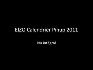 EIZO Calendrier Pinup 2011
Nu intégral
 