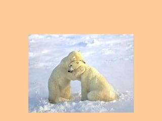 10. Tenga algunos amigos en quienes confiar