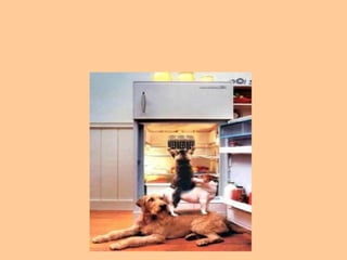 11. Coopere y consiga las mejores recompensas