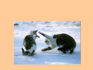 12. Valorice cada momento con quien ama