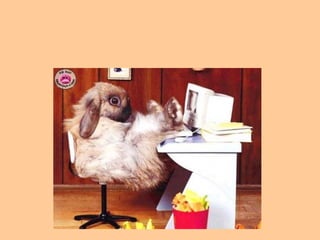 16. Utiliza adecuadamente la tecnología