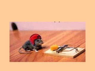 17. Corra riesgos calculados