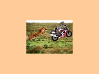 1. Persiga metas posibles de ser alcanzadas