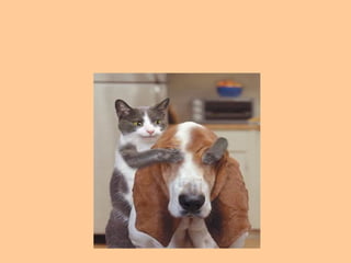 5. Mantenga su espíritu joven