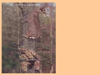 7. Sobre presión mantenga la calma