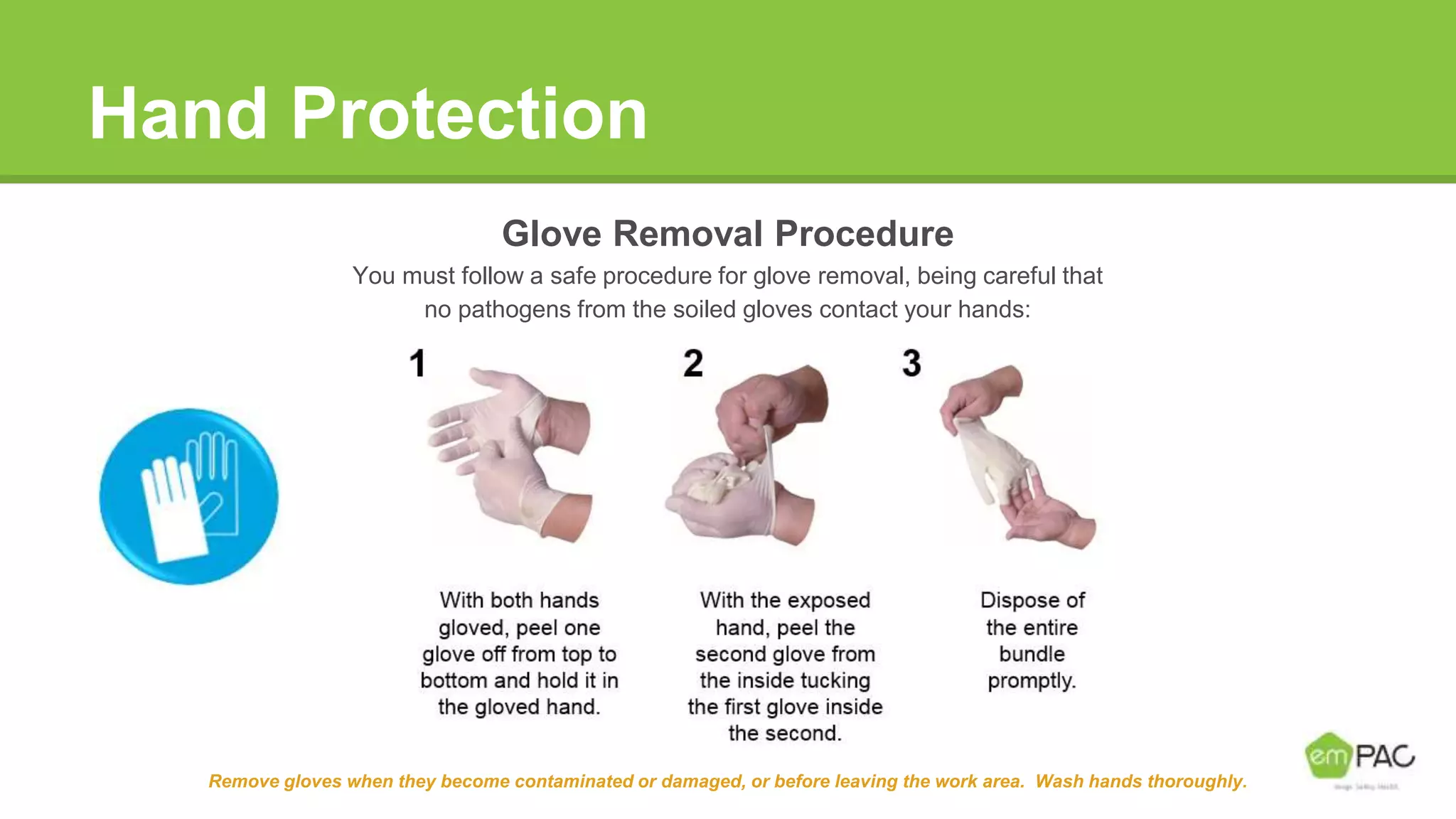 Hand Protection
Glove Removal Procedure
You must follow a safe procedure for glove removal, being careful that
no pathogens from the soiled gloves contact your hands:
Remove gloves when they become contaminated or damaged, or before leaving the work area. Wash hands thoroughly.
 
