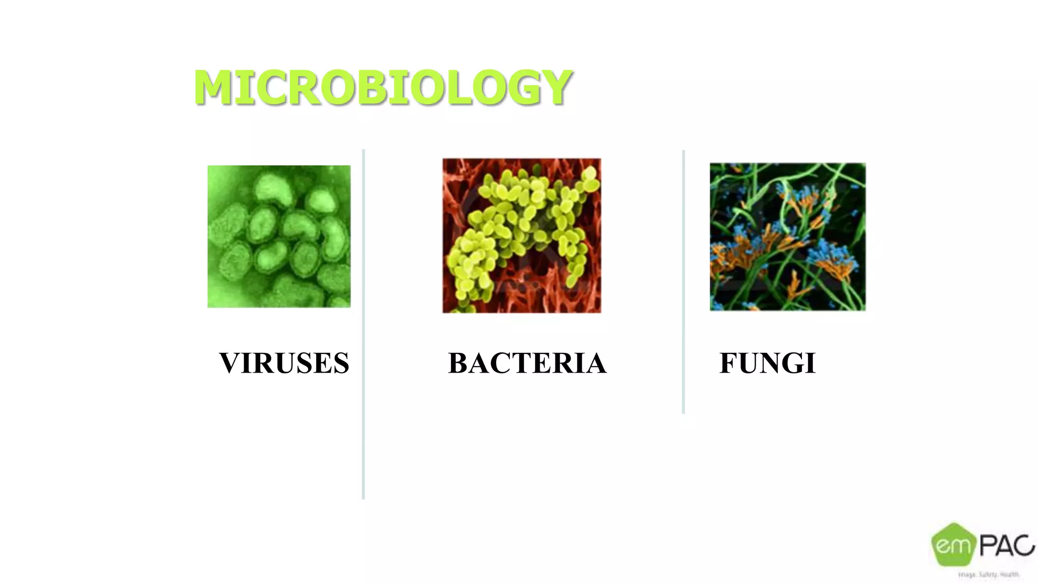 MICROBIOLOGY
BACTERIA FUNGIVIRUSES
 