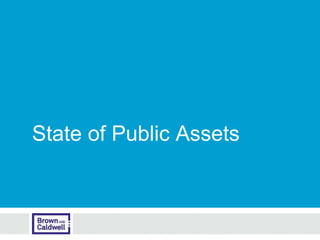 State of Public Assets
 