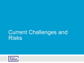 Current Challenges and
Risks
 