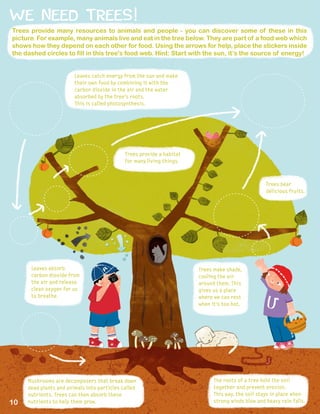 WE NEED TREES!
Leaves catch energy from the sun and make
their own food by combining it with the
carbon dioxide in the air and the water
absorbed by the tree's roots.
This is called photosynthesis.
Leaves absorb
carbon dioxide from
the air and release
clean oxygen for us
to breathe.
Trees make shade,
cooling the air
around them. This
gives us a place
where we can rest
when it’s too hot.
The roots of a tree hold the soil
together and prevent erosion.
This way, the soil stays in place when
strong winds blow and heavy rain falls.
Mushrooms are decomposers that break down
dead plants and animals into particles called
nutrients. Trees can then absorb these
nutrients to help them grow.
Trees bear
delicious fruits.
Trees provide a habitat
for many living things.
Trees provide many resources to animals and people - you can discover some of these in this
picture. For example, many animals live and eat in the tree below. They are part of a food web which
shows how they depend on each other for food. Using the arrows for help, place the stickers inside
the dashed circles to fill in this tree's food web. Hint: Start with the sun, it’s the source of energy!
10
 