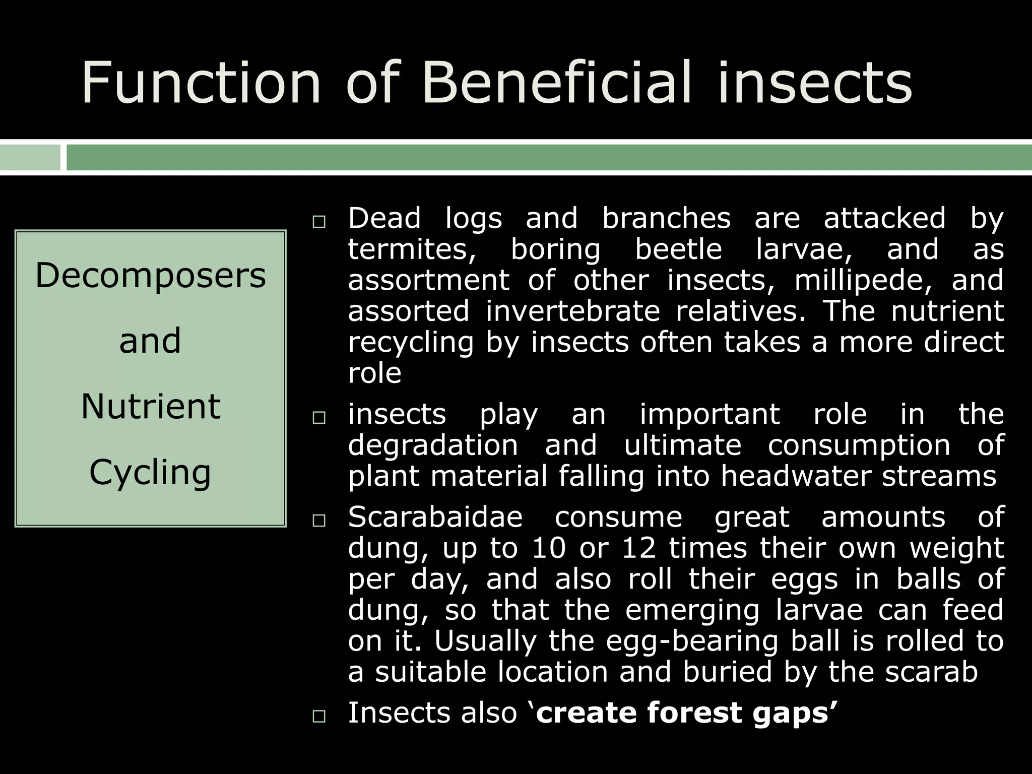 BENEFICIAL INSECTS | PPTX