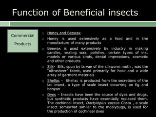 Function of Beneficial insects
Commercial
Products
 Honey and Beewax
 Honey is used extensively as a food and in the
manufacture of many products
 Beewax is used extensively by industry in making
candles, sealing wax, polishes, certain types of ink,
models or various kinds, dental impressions, cosmetic
and other products
 Silk- Silk, spun by larvae of the silkworm moth , was the
“ultrasheer” fabric, used primarily for hose and a wide
array of garment materials
 Shellac - Shellac is produced from the secretions of the
lac insect, a type of scale insect occurring on fig and
banyan
 Dyes – Insects have been the source of dyes and drugs,
but synthetic products have essentially replaced them.
The cochineal insect, Dactylopius coccus Costa , a scale
insect somewhat similar to the mealybugs, is used for
the production of cochineal dyes
 
