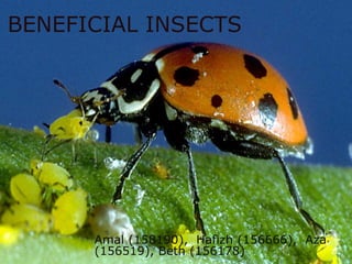 BENEFICIAL INSECTS
Amal (158190), Hafizh (156666), Aza
(156519), Beth (156178)
 