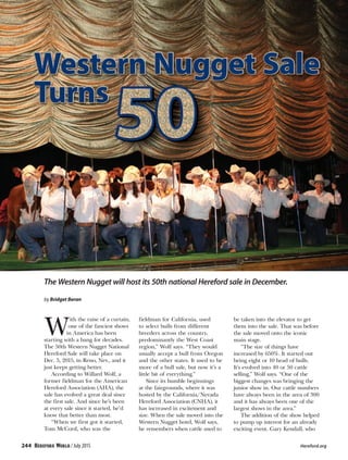 The Western Nugget will host its 50th national Hereford sale in December.
by Bridget Beran
W
ith the raise of a curtain,
one of the fanciest shows
in America has been
starting with a bang for decades.
The 50th Western Nugget National
Hereford Sale will take place on
Dec. 5, 2015, in Reno, Nev., and it
just keeps getting better.
According to Willard Wolf, a
former fieldman for the American
Hereford Association (AHA), the
sale has evolved a great deal since
the first sale. And since he’s been
at every sale since it started, he’d
know that better than most.
“When we first got it started,
Tom McCord, who was the
fieldman for California, used
to select bulls from different
breeders across the country,
predominantly the West Coast
region,” Wolf says. “They would
usually accept a bull from Oregon
and the other states. It used to be
more of a bull sale, but now it’s a
little bit of everything.”
Since its humble beginnings
at the fairgrounds, where it was
hosted by the California/Nevada
Hereford Association (CNHA), it
has increased in excitement and
size. When the sale moved into the
Western Nugget hotel, Wolf says,
he remembers when cattle used to
be taken into the elevator to get
them into the sale. That was before
the sale moved onto the iconic
main stage.
“The size of things have
increased by 650%. It started out
being eight or 10 head of bulls.
It’s evolved into 40 or 50 cattle
selling,” Wolf says. “One of the
biggest changes was bringing the
junior show in. Our cattle numbers
have always been in the area of 300
and it has always been one of the
largest shows in the area.”
The addition of the show helped
to pump up interest for an already
exciting event. Gary Kendall, who
244 / July 2015 	 Hereford.org
 