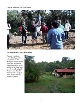3
Cerro de la Muerte: The First Lecture
Osa Biodiversity Center, Piro Station
We dove right in to
tropical biology at Osa
Conservation's Piro
Biological Station. Some
of the best old-growth
lowland rainforest in the
world can be found here,
as well as undeveloped
Pacific beach. Howler
monkeys wake us up at
dawn. Scarlet macaws
squawk overhead.
 