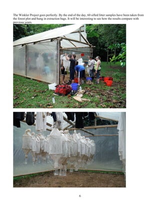 6
The Winkler Project goes perfectly. By the end of the day, 60 sifted litter samples have been taken from
the forest plot and hung in extraction bags. It will be interesting to see how the results compare with
previous years.
 