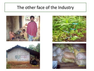 The other face of the Industry
 