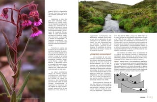 CATHERINE GAMBA-TRIMIÑO
[142 ] [143 ]
Agency 2005) y el Sistema de
Parques Nacionales Naturales
de Colombia (Zambrano et al.
2007).
Alejándose un poco de
esta visión naturalista, Vélez-
Restrepo et al. (2008) propo-
nen la integridad ecológica del
paisaje que, partiendo de la
escuela de planeación urbana
y regional, utiliza elementos de
la ecología del paisaje y el con-
cepto de mosaicos (Forman
1995). En esta aproximación
se tienen en cuenta la integri-
dad estructural –conectividad
y tamaño de fragmentos–, la
integridad ecosistémica –na-
turalidad–, y la sostenibilidad
ecológicadelasactividadeshu-
manas.
Teniendo en cuenta que
la mayoría de los páramos son
territorios habitados y/o utiliza-
dos, y que existe debate sobre
el papel de la intervención hu-
mana a lo largo de la historia
en las características que este
ecosistema presenta actual-
mente (Baslev y Luteyn 1991,
Molinillo y Monasterio 2002)
el concepto de salud ecosis-
témica (Woodley et al.1993,
Rapport et al. 1998) podría ser
más adecuado en este caso.
La salud ecosistémica
integra de manera explícita
consideraciones estrictamen-
te ecológicas con los proce-
sos sociales de manejo de
recursos y las implicaciones
que esto tiene sobre la salud
humana, proponiéndose el
seguimiento y evaluación de
los criterios de vigor (produc-
tividad), resiliencia (de la que
hablaremos más adelante) y
entre ellos (Hanski 1995, Ludwig et al. 1996, Walker et
al. 1997), incluso en sus estados más prístinos (Dublin
et al. 1990, Sinclair 1995). Así, reflexiones recientes
desde la teoría de la estabilidad no-linear (Berkes et al.
2003) indican que las dinámicas socioecosistémicas
emergen de la interacción de tres atributos básicos: re-
siliencia, adaptabilidad y transformabilidad (Walker et
al. 2004). En este escrito no abordaremos el concepto
de transformabilidad, Folke et al. (2010) presentan una
reflexión interesante al respecto.
La resiliencia se define como la capacidad de
un sistema para absorber disturbio y reorganizarse,
cambiando, pero reteniendo su estructura, función,
identidad y canales de retroalimentación (Holling 1973,
Ludwig et al.1993, Walker et al. 2004). (Figura 1.)
Figura 1. Diagrama de bola y copa representando la estabilidad de
un sistema. Los valles representan los dominios de estabilidad, la bola
el sistema, y las flechas los disturbios. La resiliencia ecológica está
determinada por el ancho de los dominios de estabilidad. La capacidad
adaptativa se refiere a la habilidad del sistema para permanecer en un
dominio de estabilidad así la forma del dominio cambie (representado
por los tres segmentos o paisajes). Tomado de Gunderson (2000)
Banco de Imágenes Ambientales (BIA), Instituto Alexander von Humboldt
organización (complejidad). De
esta forma, Hofstede (2004) reali-
zó una primera aplicación de este
concepto en los páramos ecuato-
rianos, con tres indicadores para
su monitoreo: 1) Capacidad de
prestar bienes y servicios ecosis-
témicos; 2) posibilidad de ofrecer
alternativas de manejo; 3) salud de
la población humana.
¿Integridad socioecológica?
La necesidad de una com-
prensión compleja de los territorios
y su devenir está siendo abordada
a través de nociones como las de
socioecosistema, con lo que se
reclama una transdisciplinariedad
que sea capaz de articular operati-
vamente las dimensiones naturales
y culturales del entorno. Los siste-
mas socioecológicos (SES por sus
siglas en inglés) son complejos y
adaptativos, y están conformados
por una unidad bio-geo-física y
sus actores sociales e instituciones
asociadas (Glaser et al. 2008).
Existe evidencia creciente de
que los sistemas socioecológicos
no se encuentran en un estado de
permanencia o equilibrio, sino que
oscilan entre una multitud de domi-
nios de estabilidad y transiciones
CONTENIDO xv
 