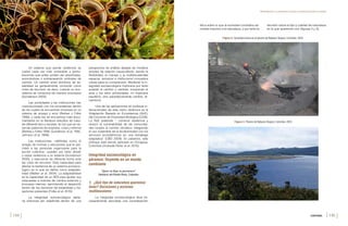 CATHERINE GAMBA-TRIMIÑO APROXIMACIÓN A LA INTEGRIDAD ECOLÓGICA EN SOCIOECOSISTEMAS DE PÁRAMO
[144 ] [145 ]
Un sistema que pierde resiliencia se
vuelve cada vez más vulnerable a pertur-
baciones que antes podían ser absorbidas,
acercándose o sobrepasando umbrales de
cambio. Un cambio entre dominios de es-
tabilidad es generalmente conocido como
crisis de recursos, es decir, cuando un eco-
sistema se comporta de manera sorpresiva
(Gunderson 2000).
Las sociedades y las instituciones han
coevolucionado con los ecosistemas dentro
de los cuales se encuentran inmersas en un
sistema de ensayo y error (Berkes y Folke
1998), y cada vez se encuentran más docu-
mentados en la literatura estudios de caso,
de diferente tipo y escalas, en los que se ob-
servan patrones de sorpresa, crisis y reforma
(Berkes y Folke 1998, Gunderson et al. 1995,
Johnson et al. 1999).
Las instituciones –definidas como el
arreglo de normas y estructuras que le per-
miten a las personas organizarse para la
acción colectiva– pueden por tanto añadir
o restar resiliencia a un sistema (Gunderson
2000), y reaccionar de diferente forma ante
las crisis de recursos. Esta capacidad para
afectar la resiliencia de un sistema socioeco-
lógico es lo que se define como adaptabi-
lidad (Walker et al. 2004). La adaptabilidad
es la capacidad de un SES para ajustar sus
respuestas a motores de cambio externos y
procesos internos, permitiendo el desarrollo
dentro de los dominios de estabilidad y tra-
yectorias presentes (Folke et al. 2010).
La integridad socioecológica debe-
ría entonces ser redefinida dentro de una
perspectiva de análisis alejada de modelos
simples de relación causa-efecto, siendo la
flexibilidad, el manejo y la multiescalaridad
espacial, temporal e institucional conceptos
claves para su comprensión. Mantener la in-
tegridad socioecológica implicaría por tanto
aceptar el cambio y cambiar, encarando el
azar y los retos ambientales; no implicaría
equilibrio, sino paradójicamente cambio, di-
namismo.
Una de las aplicaciones en políticas in-
ternacionales de esta visión dinámica es la
Adaptación Basada en Ecosistemas (AbE),
del Convenio de Diversidad Biológica (CDB).
La AbE pretende “…construir resiliencia y
reducir la vulnerabilidad de las comunida-
des locales al cambio climático, integrando
el uso sostenible de la biodiversidad con los
servicios ecosistémicos en una estrategia
adaptativa” (CBD 2009). En páramos, este
enfoque está siendo aplicado en Chingaza,
Colombia (Andrade Pérez et al. 2010).
Integridad socioecológica en
páramos: fluyendo en un mundo
cambiante
“Quien no fluye no permanece”
Sabiduría del Pueblo Pasto, Colombia
1. ¿Qué tipo de naturaleza queremos
tener? Decisiones y acciones
multiescalares
La integridad socioecológica lleva ne-
cesariamente asociada una consideración
Figura 3. Páramo de Rabanal, Boyacá, Colombia. 2010.
ética sobre lo que la sociedad considera ad-
misible imponer a la naturaleza, y por tanto la
decisión sobre el tipo y calidad de naturaleza
en la que queremos vivir (figuras 2 y 3).
Figura 2. Actividad minera en el páramo de Rabanal, Boyacá, Colombia. 2010.
CONTENIDO xv
 