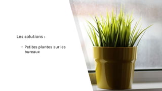 Les solutions :
▸Petites plantes sur les
bureaux
 