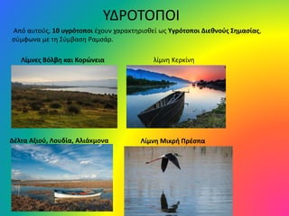 Λίμνες Βόλβη και Κορώνεια
ΥΔΡΟΤΟΠΟΙ
λίμνη Κερκίνη
Δέλτα Αξιού, Λουδία, Αλιάκμονα Λίμνη Μικρή Πρέσπα
Από αυτούς, 10 υγρότοποι έχουν χαρακτηρισθεί ως Υγρότοποι Διεθνούς Σημασίας,
σύμφωνα με τη Σύμβαση Ραμσάρ.
 