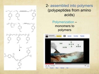 2- assembled into polymers
(polypeptides from amino
acids)
Polymerization –
monomers to
polymers
 
