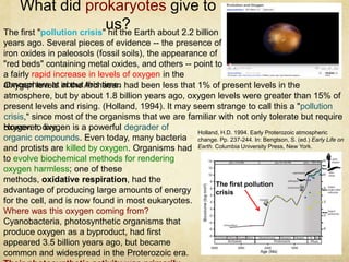 What did prokaryotes give to
us?
The first pollution
crisis
However, oxygen is a powerful degrader of
organic compounds. Even today, many bacteria
and protists are killed by oxygen. Organisms had
to evolve biochemical methods for rendering
oxygen harmless; one of these
methods, oxidative respiration, had the
advantage of producing large amounts of energy
for the cell, and is now found in most eukaryotes.
Where was this oxygen coming from?
Cyanobacteria, photosynthetic organisms that
produce oxygen as a byproduct, had first
appeared 3.5 billion years ago, but became
common and widespread in the Proterozoic era.
The first "pollution crisis" hit the Earth about 2.2 billion
years ago. Several pieces of evidence -- the presence of
iron oxides in paleosols (fossil soils), the appearance of
"red beds" containing metal oxides, and others -- point to
a fairly rapid increase in levels of oxygen in the
atmosphere at about this time.
Holland, H.D. 1994. Early Proterozoic atmospheric
change. Pp. 237-244. In: Bengtson, S. (ed.) Early Life on
Earth. Columbia University Press, New York.
Oxygen levels in the Archaean had been less that 1% of present levels in the
atmosphere, but by about 1.8 billion years ago, oxygen levels were greater than 15% of
present levels and rising. (Holland, 1994). It may seem strange to call this a "pollution
crisis," since most of the organisms that we are familiar with not only tolerate but require
oxygen to live.
 