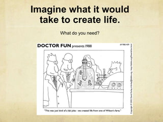 Imagine what it would
take to create life.
What do you need?
 