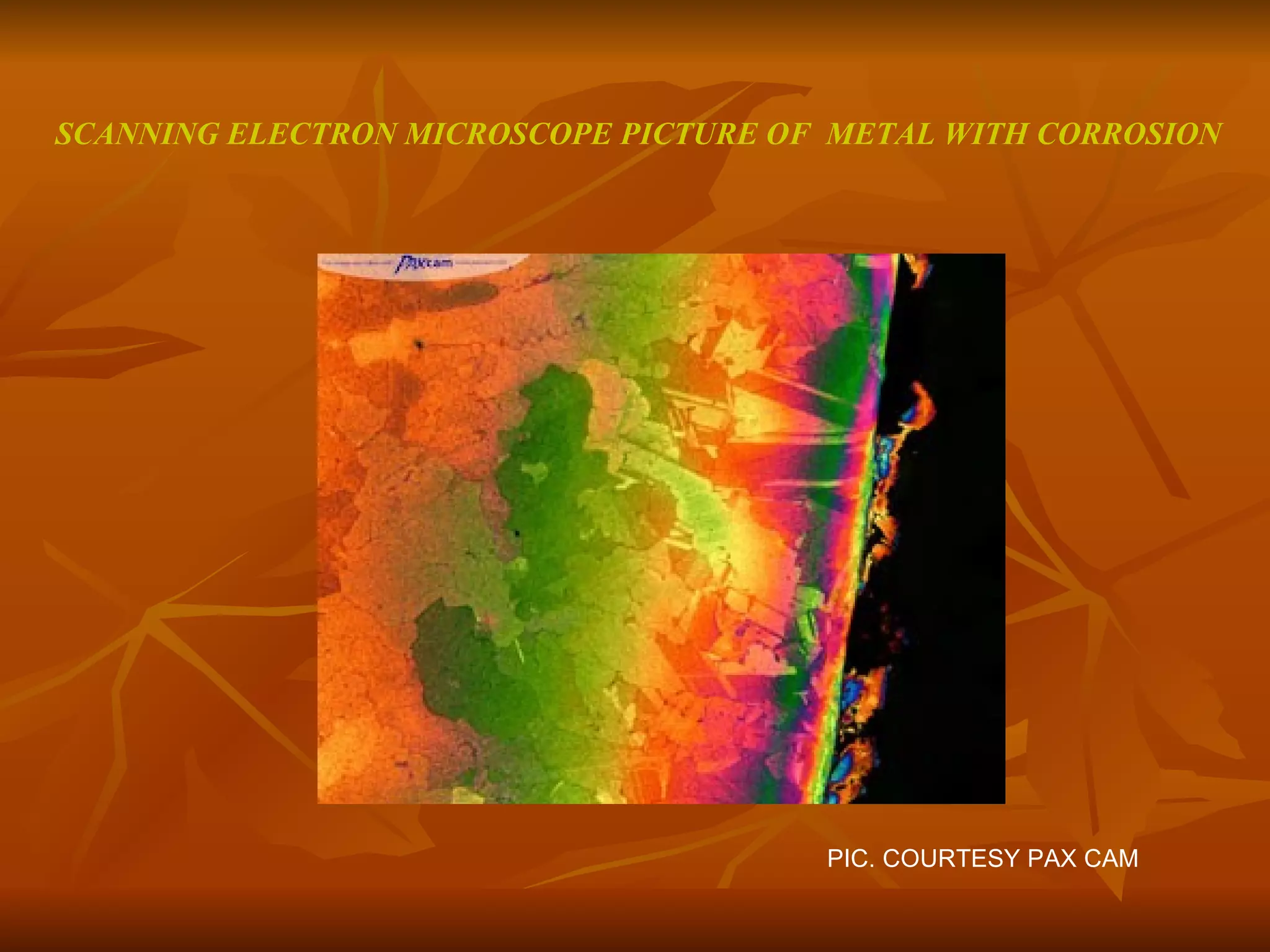 SCANNING ELECTRON MICROSCOPE PICTURE OF  METAL WITH CORROSION PIC. COURTESY PAX CAM 
