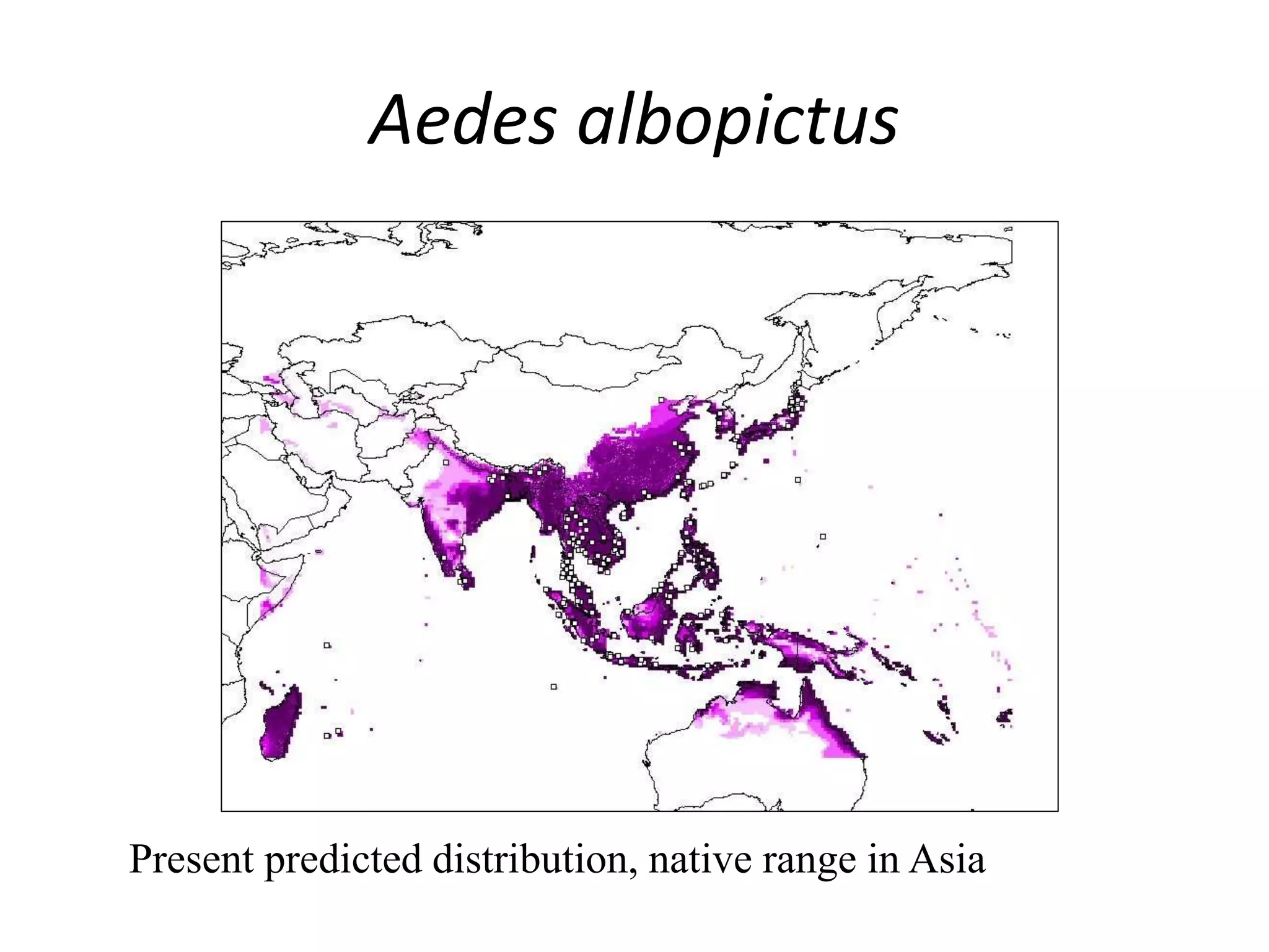 Aedes albopictus
Present predicted distribution, native range in Asia
 