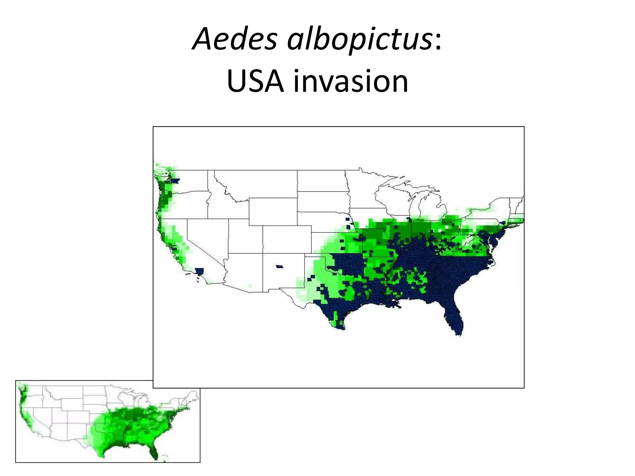 Aedes albopictus:
USA invasion
 