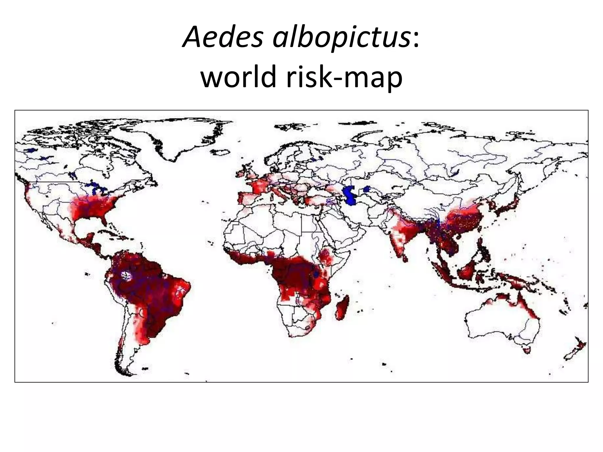 Aedes albopictus:
world risk-map
 
